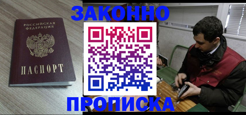 прописка для работы в Стародубе